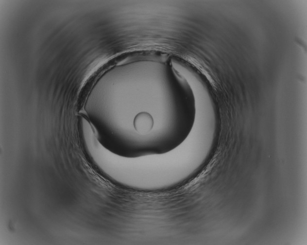 X0000094781069200712141615