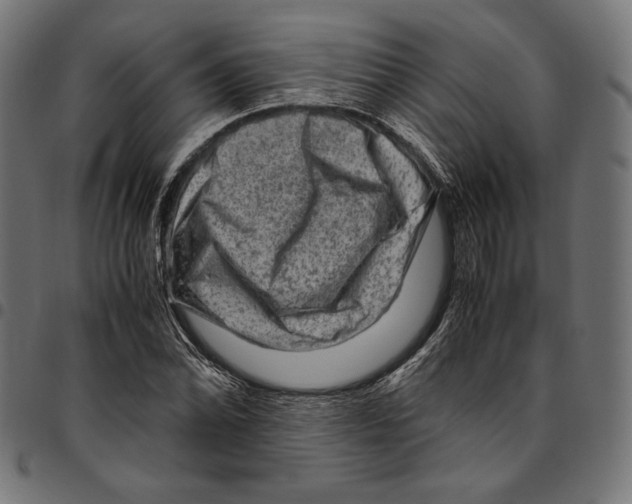 X0000094781070200712141615