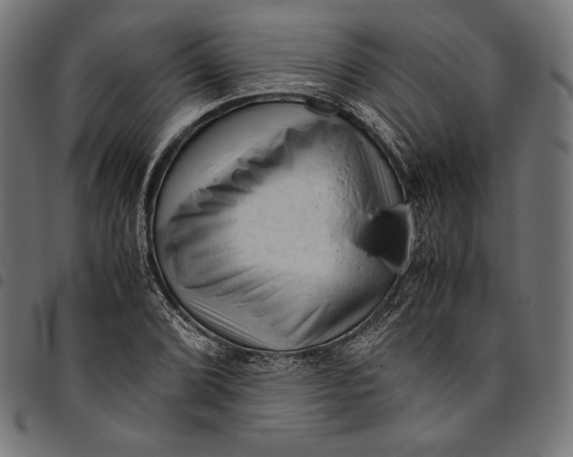 X0000094781072200712141615