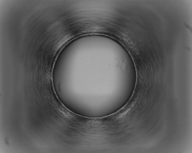 X0000094781073200712141615