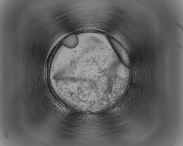 X0000094781076200712141615