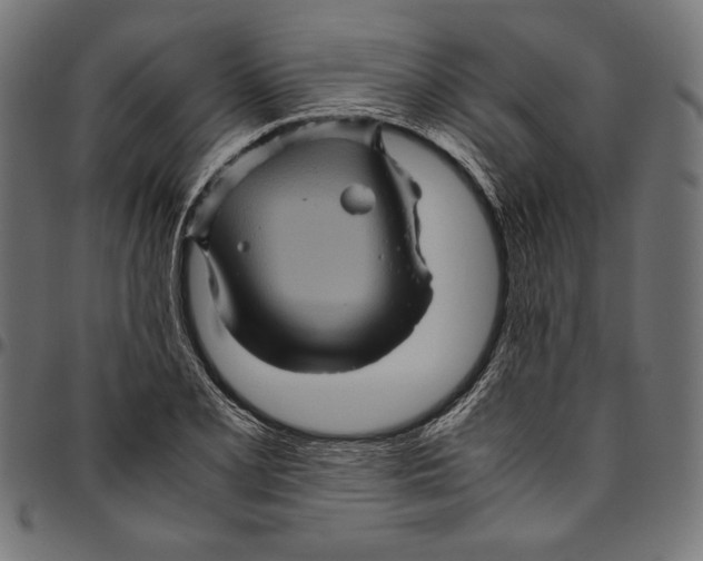 X0000094781077200712141615