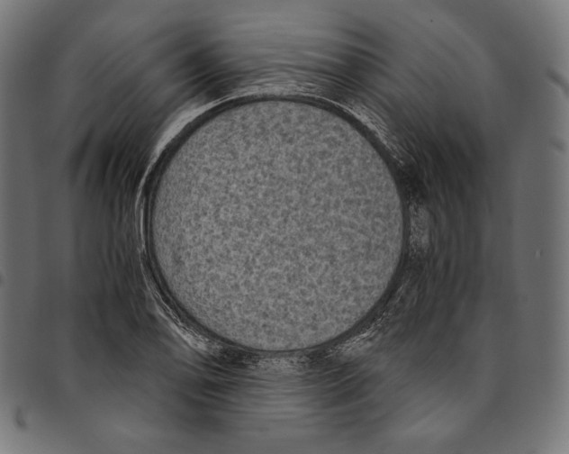 X0000094781078200712141615