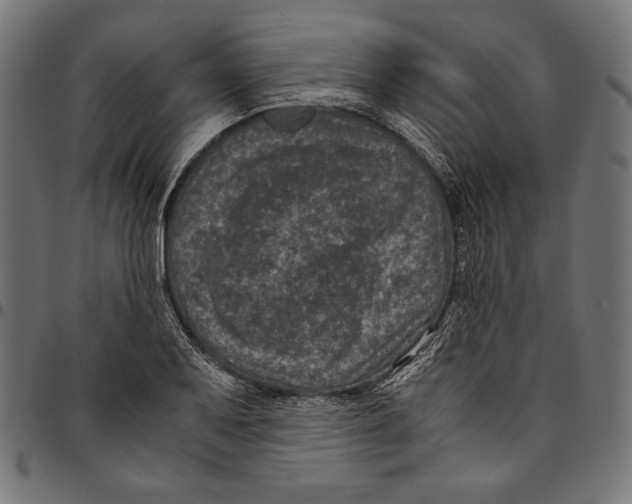 X0000094781079200712141615