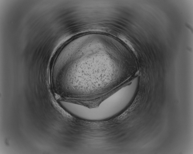 X0000094781080200712141615