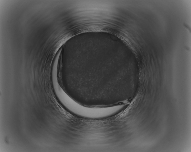 X0000094781081200712141615