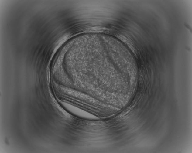 X0000094781083200712141615