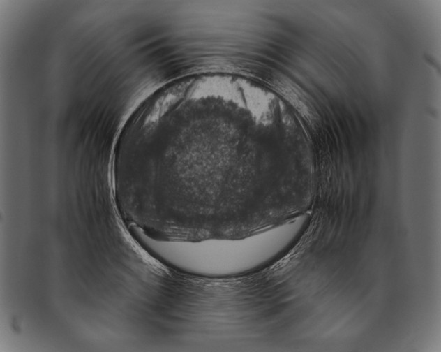 X0000094781084200712141615