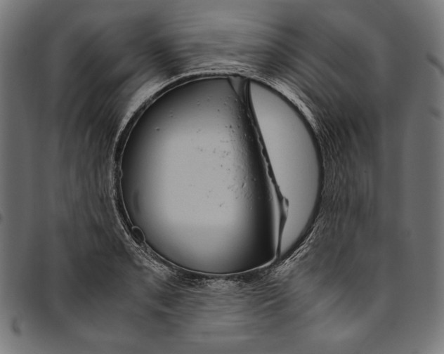 X0000094781085200712141615