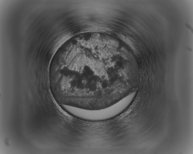 X0000094781087200712141615