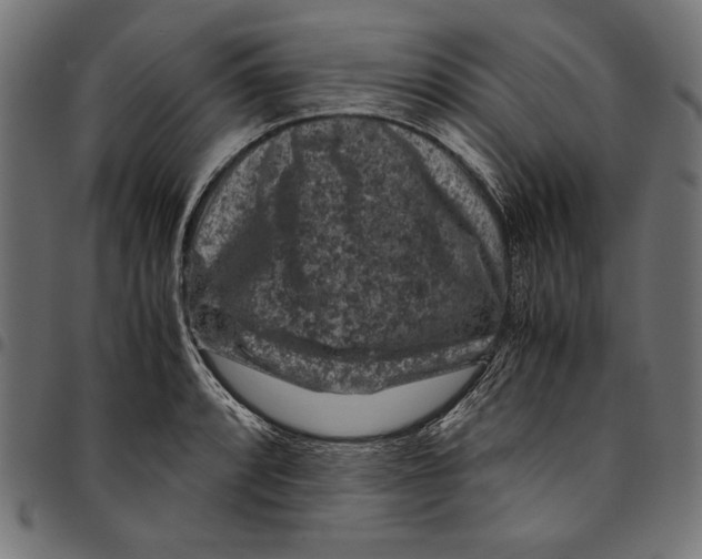 X0000094781088200712141615