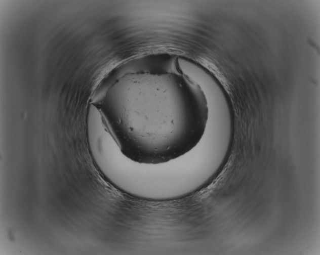 X0000094781089200712141615