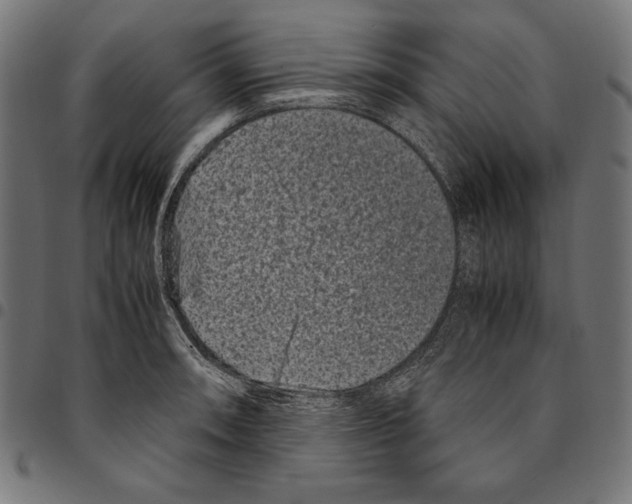 X0000094781090200712141615