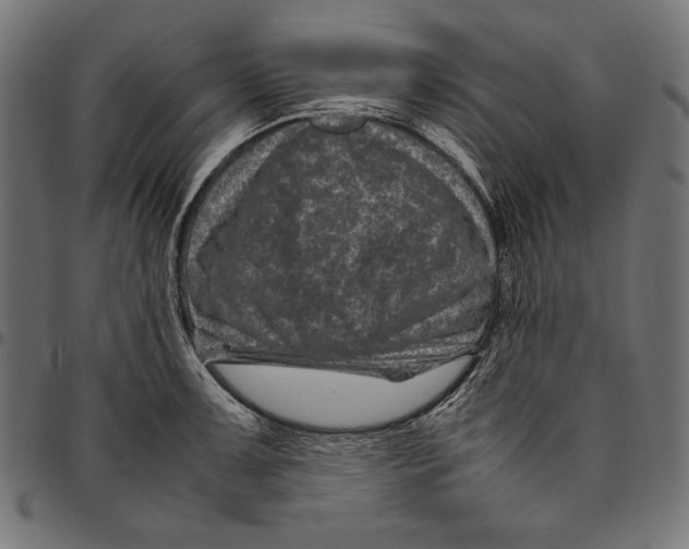 X0000094781091200712141615