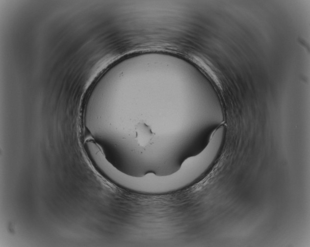 X0000094781093200712141615