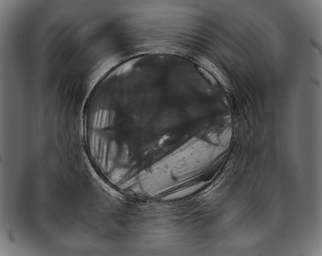 X0000094781095200712141614