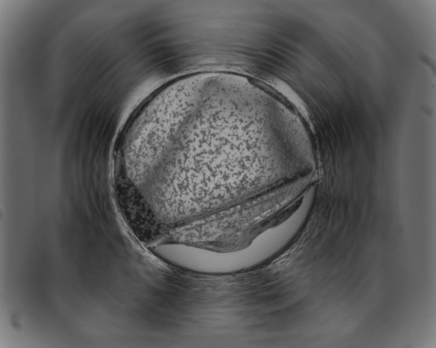 X0000094781096200712141614