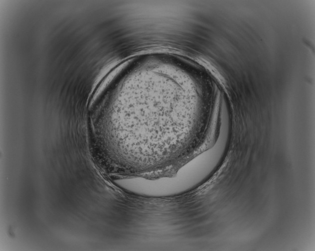 X0000094781097200712141614