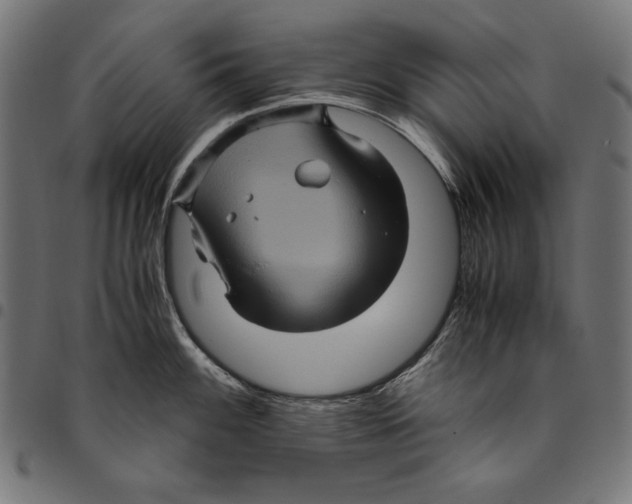 X0000094781100200712141614