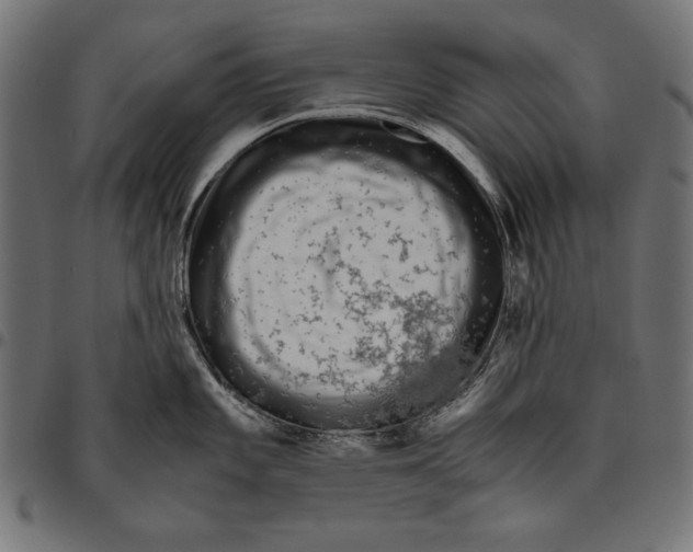 X0000094781101200712141614