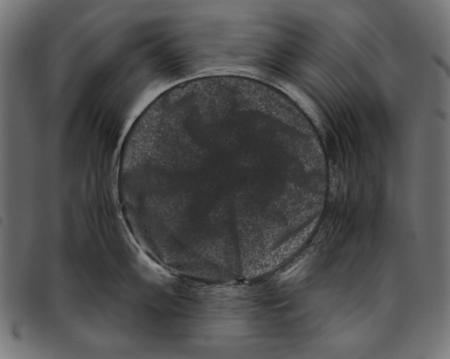 X0000094781102200712141614