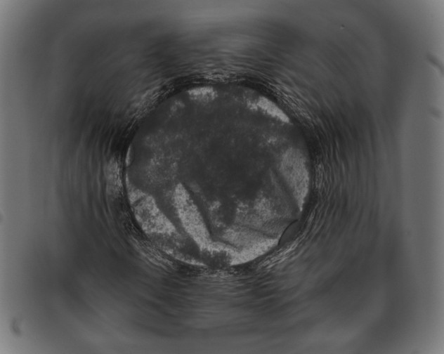 X0000094781106200712141614