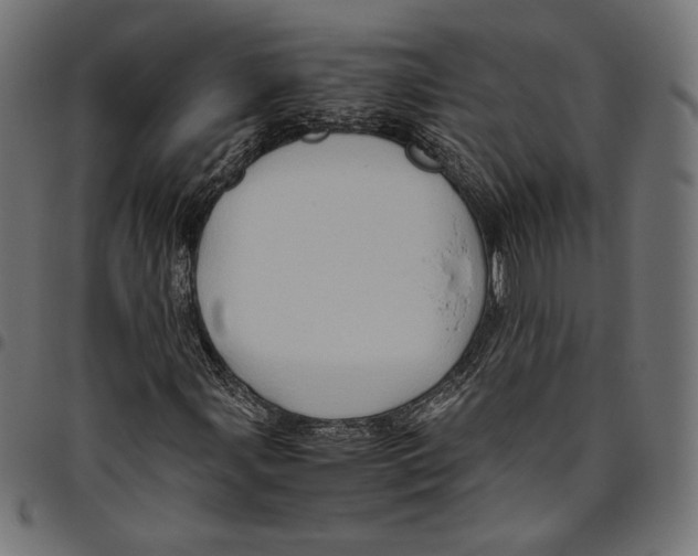 X0000094781107200712141614