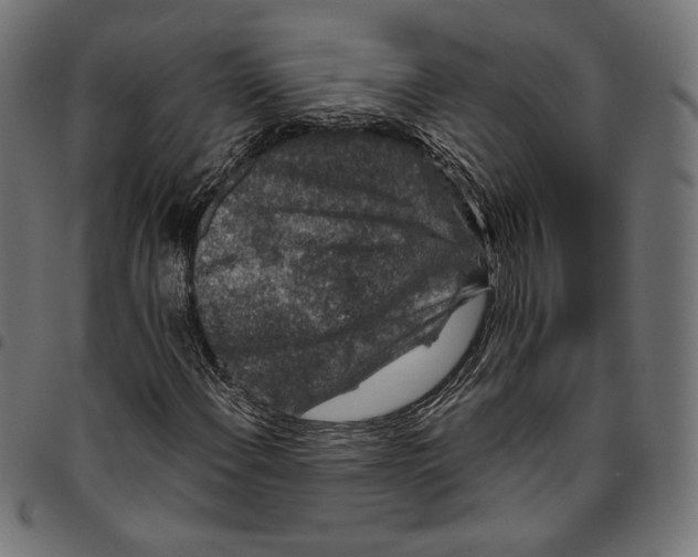 X0000094781108200712141614