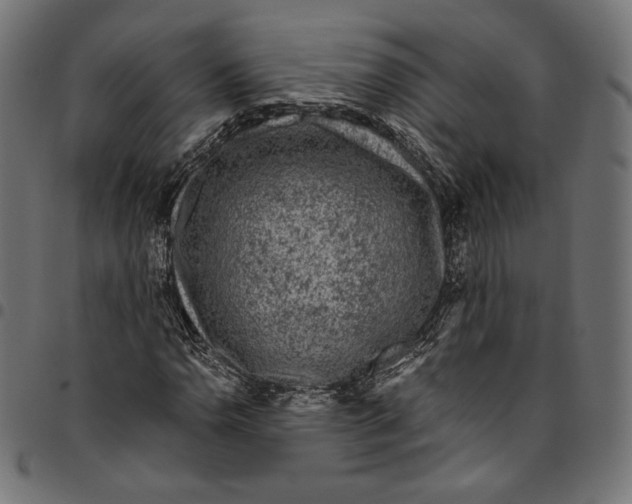 X0000094781110200712141614