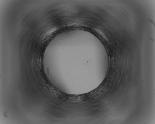 X0000094781111200712141614