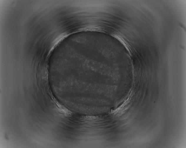 X0000094781115200712141614