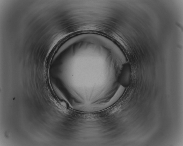 X0000094781116200712141614