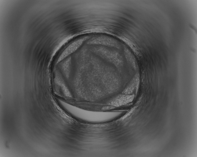 X0000094781118200712141614