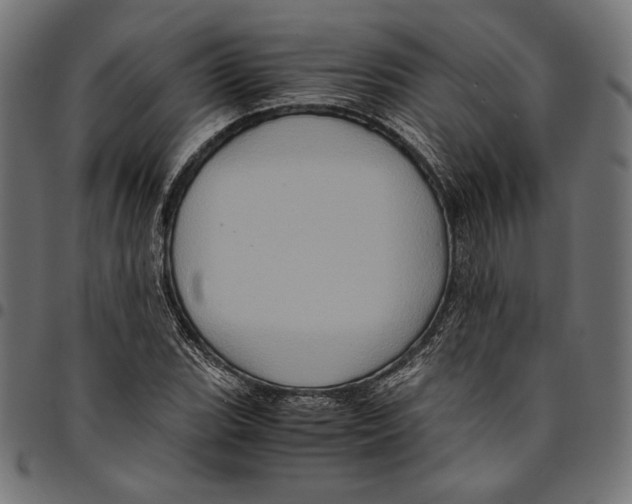 X0000094781119200712141614