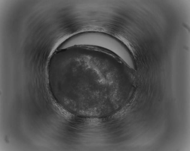 X0000094781120200712141614