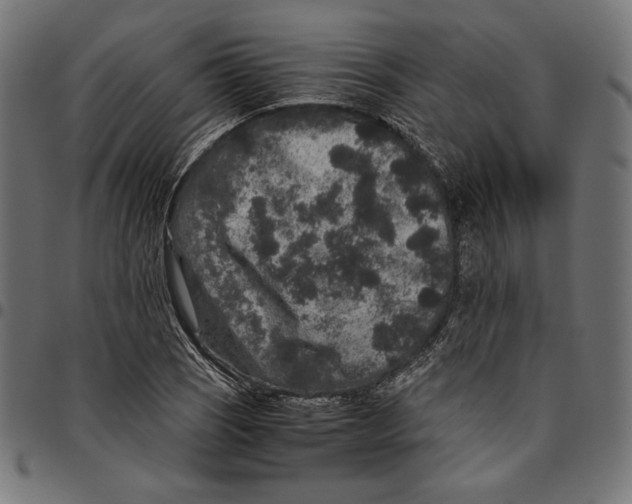 X0000094781121200712141614