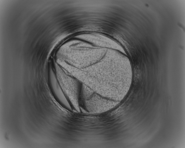 X0000094781123200712141614