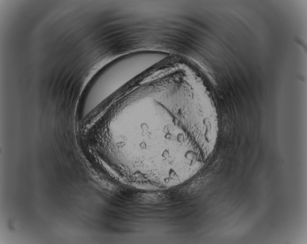 X0000094781125200712141614