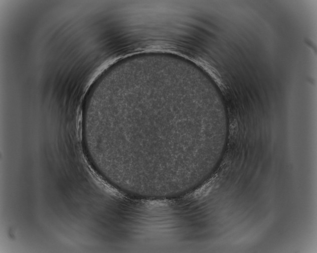 X0000094781126200712141614