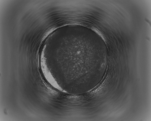 X0000094781127200712141614