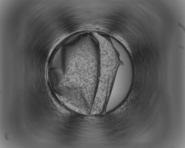 X0000094781128200712141614