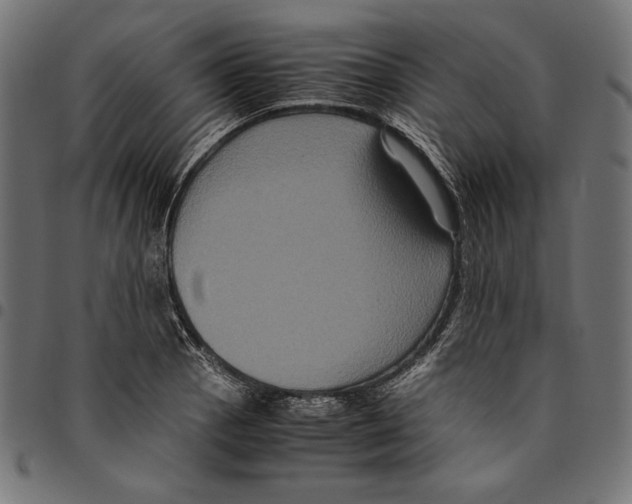 X0000094781129200712141614