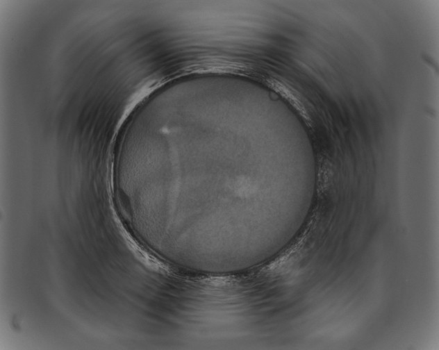 X0000094781130200712141614