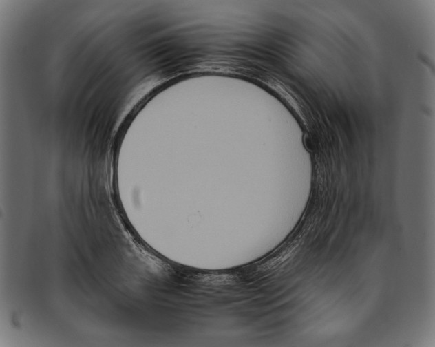 X0000094781131200712141614