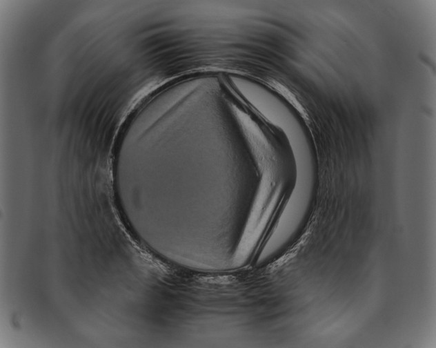 X0000094781133200712141614