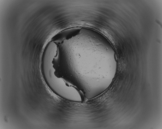 X0000094781136200712141614