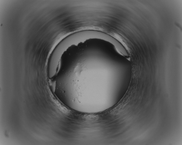 X0000094781140200712141614