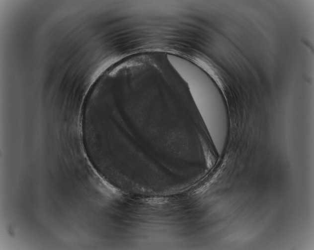 X0000094781141200712141614