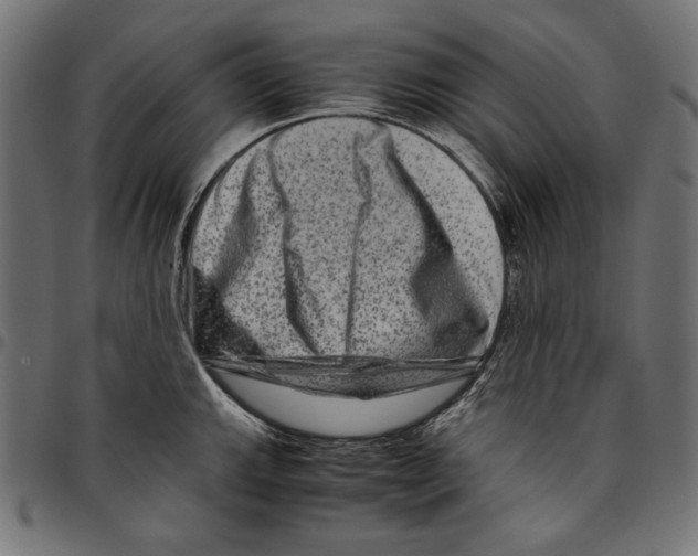 X0000094781143200712141614