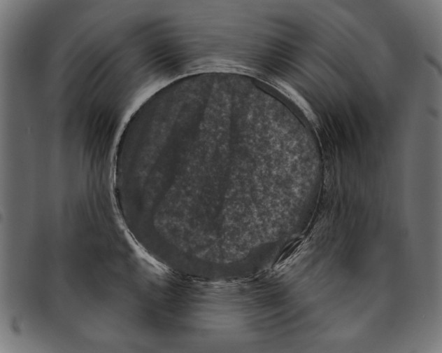 X0000094781144200712141614